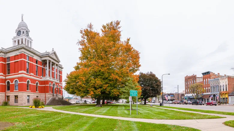 A view of a former courthouse in Charlotte, Michigan, with the downtown district in the background