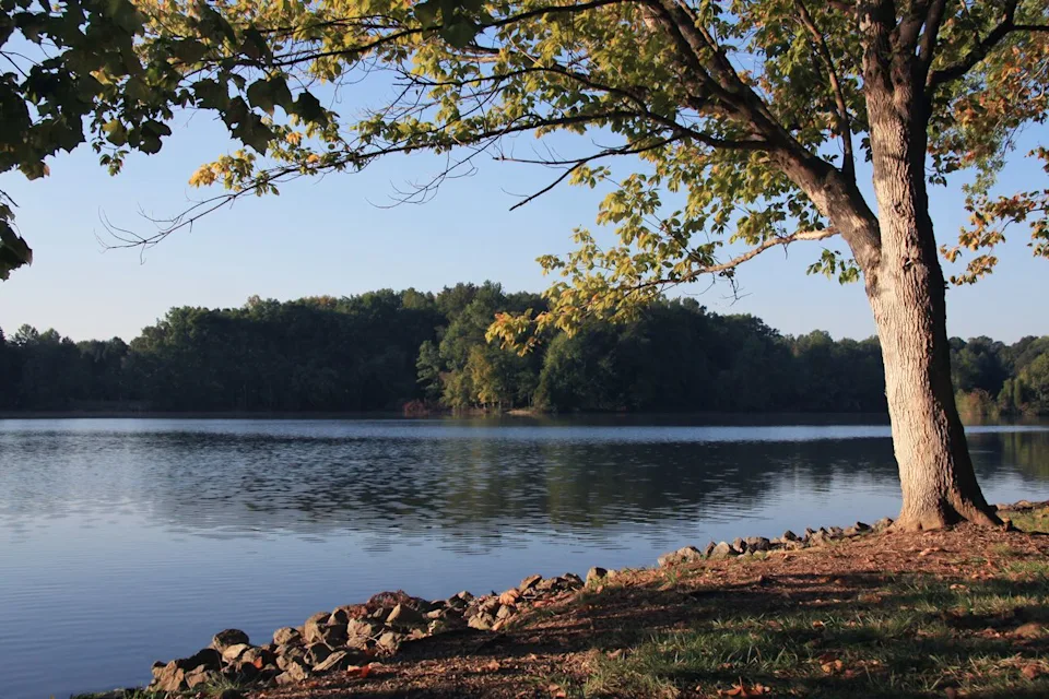 epantha/Getty Images The Cove at Concord Park in Farragut.