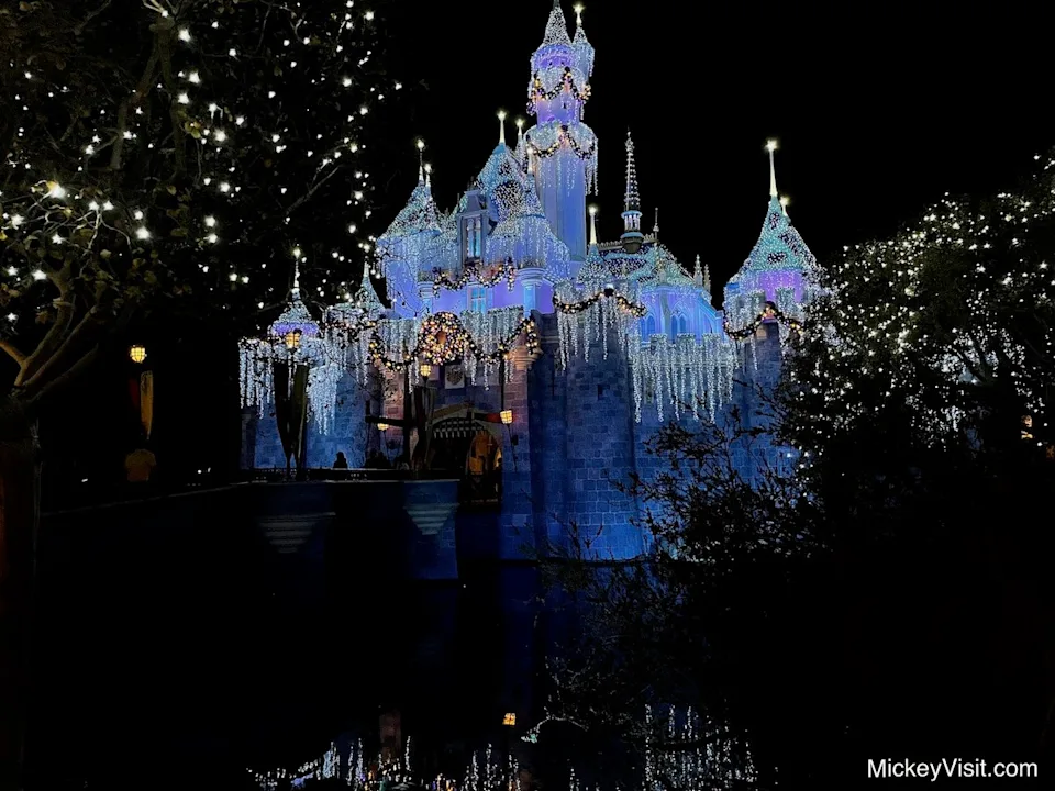 Sleeping Beauty's Winter Castle picture spot
