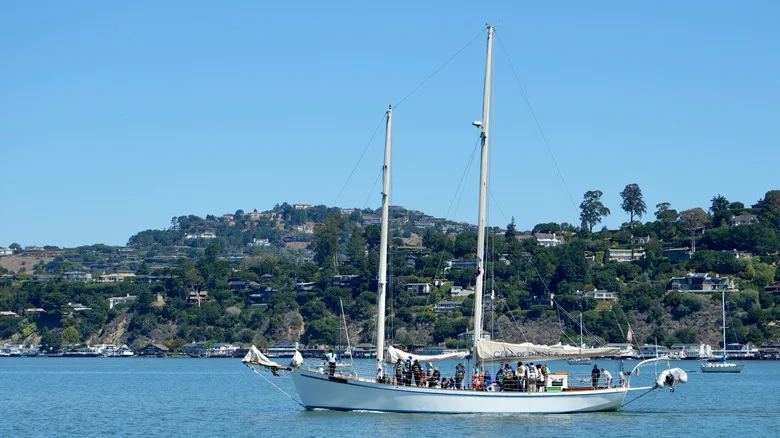 sailing with Call of the Sea on a schooner from Sausalito in Marin County, California