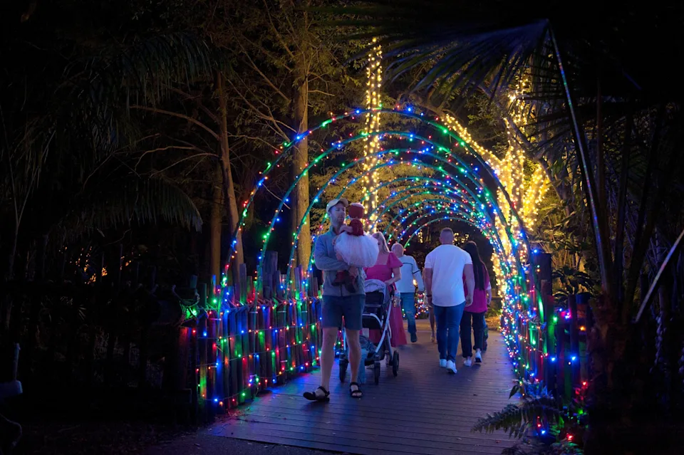 The Palm Beach Zoo is aglow with over a million eco-friendly lights.