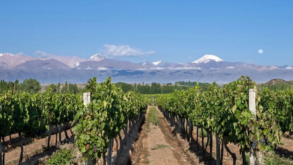 Valle de Uco, Mendoza, Argentina (nickalbi/depositphotos)