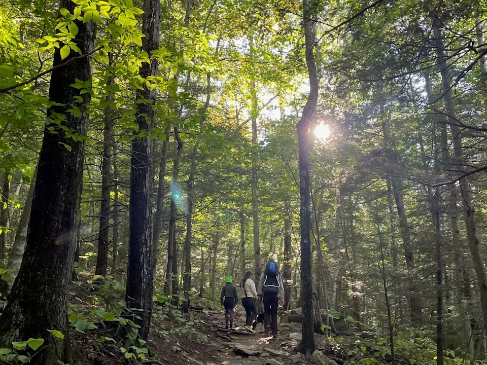 Out on a trail with family.