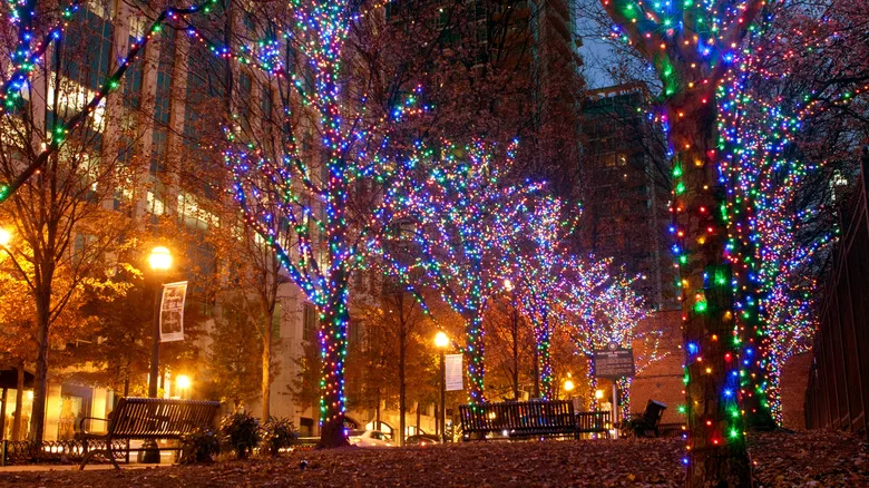 A street in Atlanta lit up with colorful fairy lights on the trees