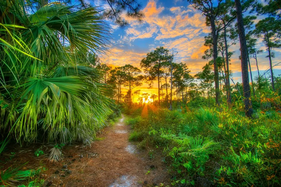 Courtesy of Martin County Office of Tourism & Marketing