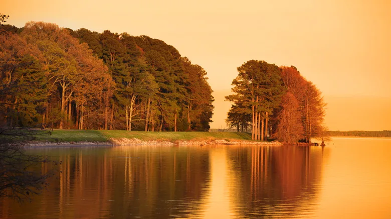 Ross R Barnett reservoir
